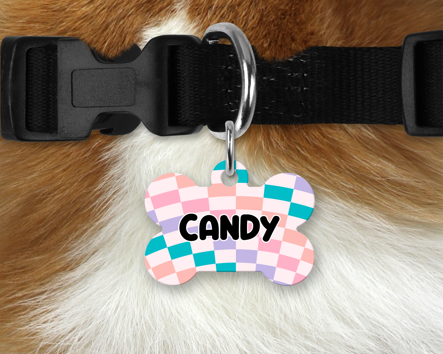 Médaille style rétro pour chien et chat