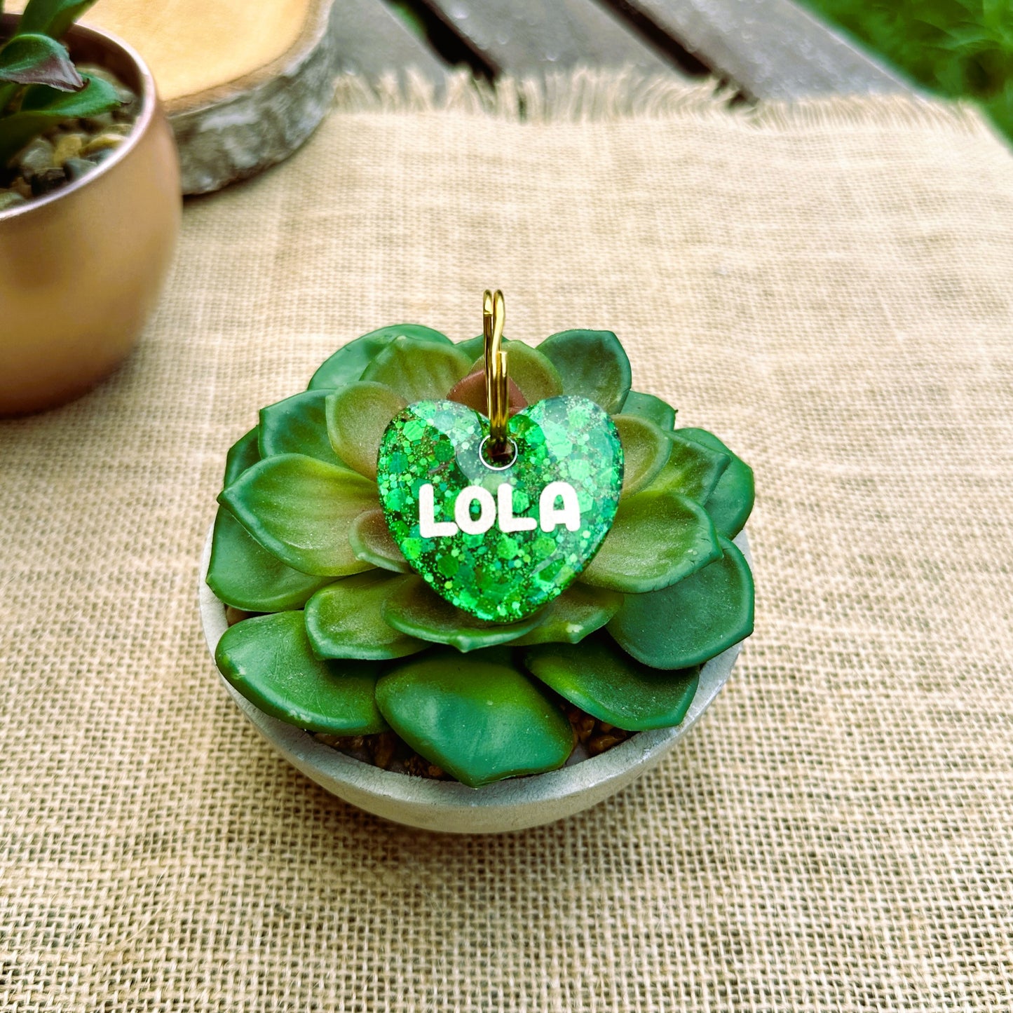 Médaille personnalisée pour animaux de compagnie en résine epoxy