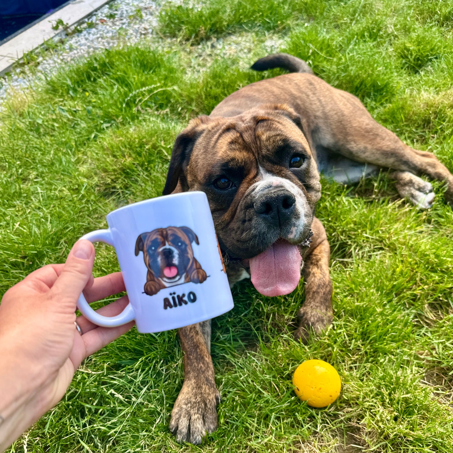 Pack Cadeau Dog Mom