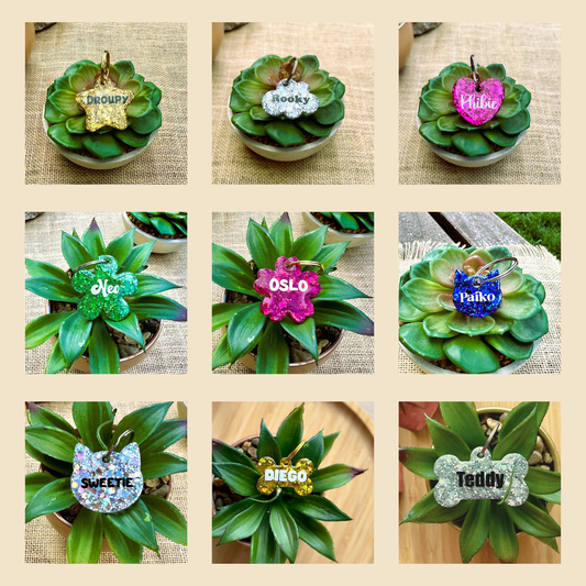 Médaille personnalisée pour animaux de compagnie en résine epoxy