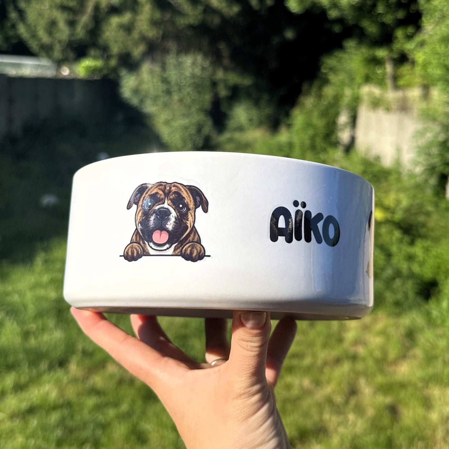 Gamelle personnalisée chien chat cartoon
