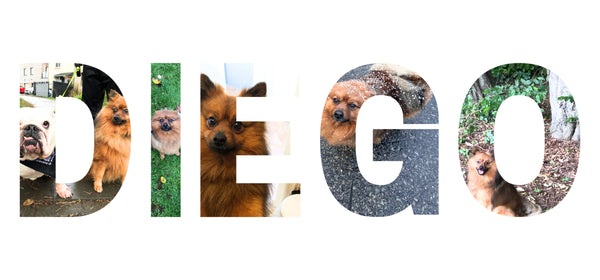Mug photo Prénom de votre animal